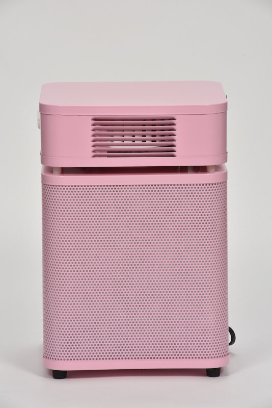 Austin Air Baby's Breath Room Air Purifier with HEPA Filter & Reviews