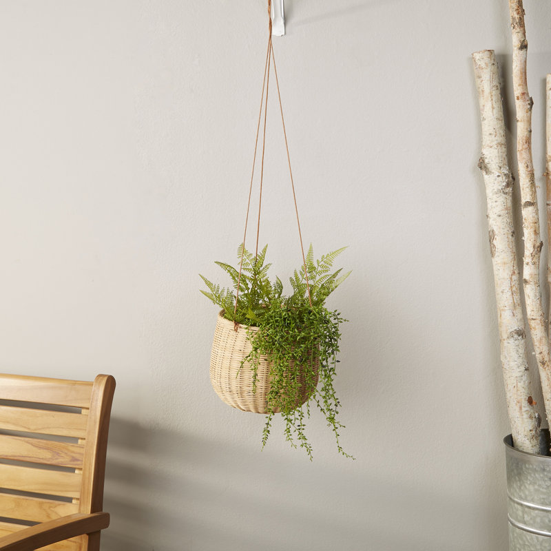 Milania Rattan Hanging Planter & Reviews Joss & Main