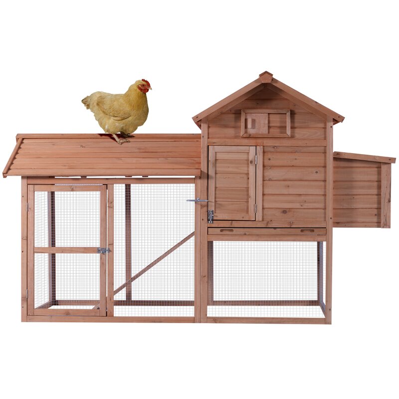 Darla Deluxe Wooden Chicken Coop