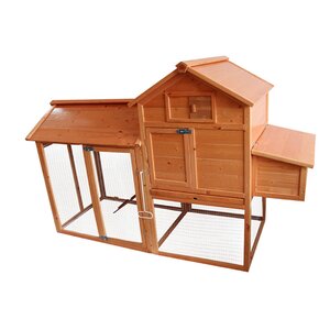 Deluxe Wooden Chicken Coop