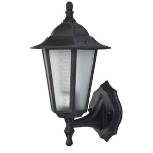 1-Light Outdoor Sconce