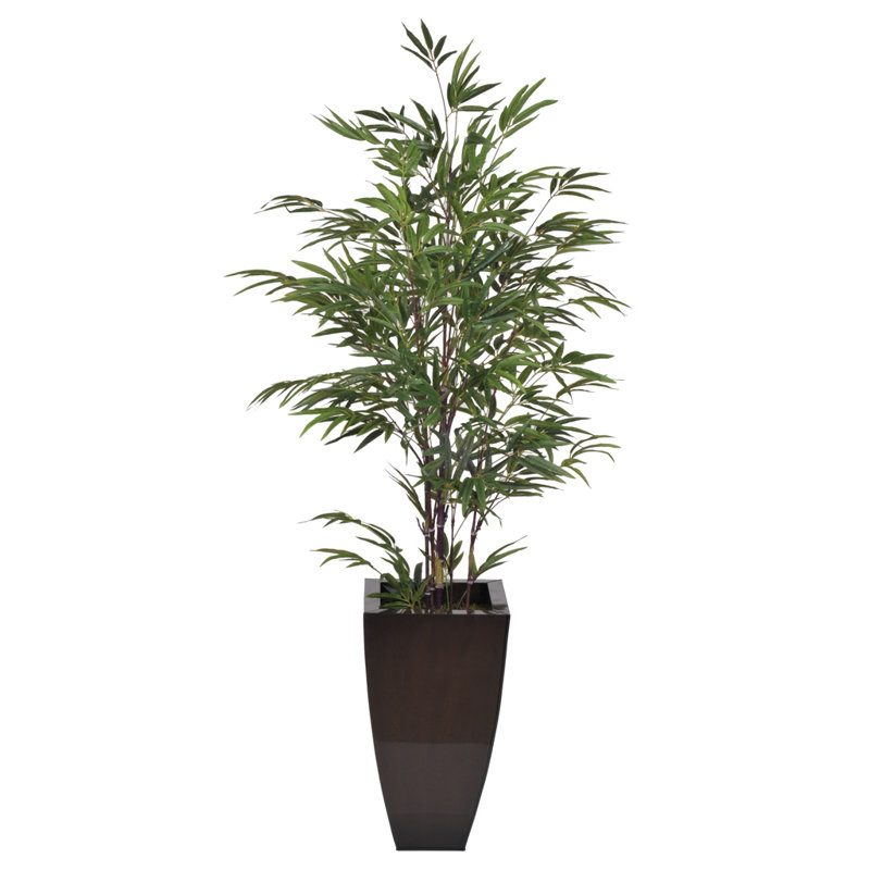 Brayden Studio Camelopardalis Artificial Black Bamboo Tree In Camelopardalis Artificial Black Bamboo Tree In Planter