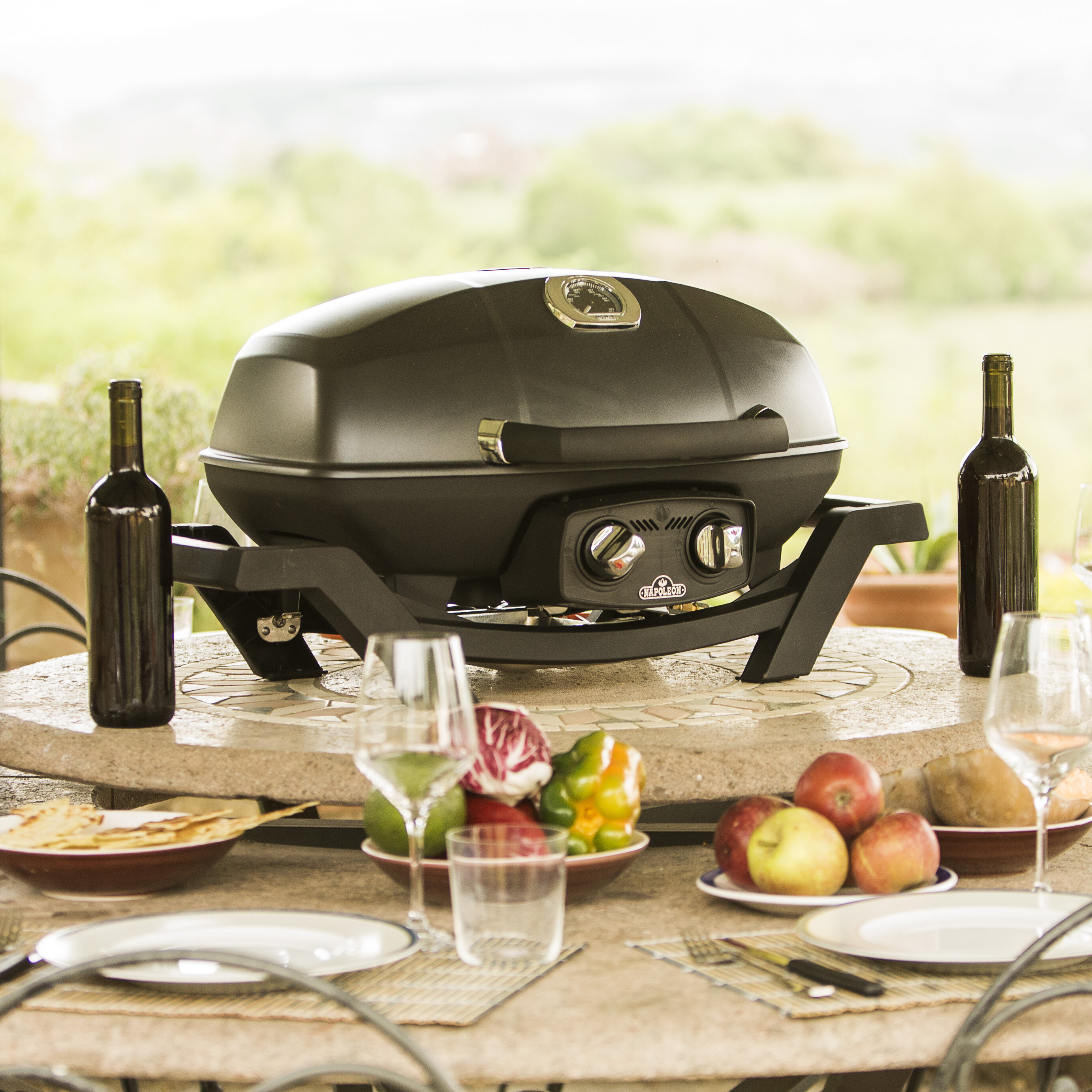 Napoleon 295 TravelQ Pro 285 Propane Grill Wayfair