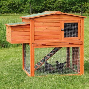 Chicken Coop/House with Outdoor Run