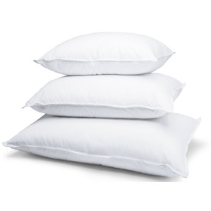 Polyfill Queen Pillows (Set of 2) by Alwyn Home