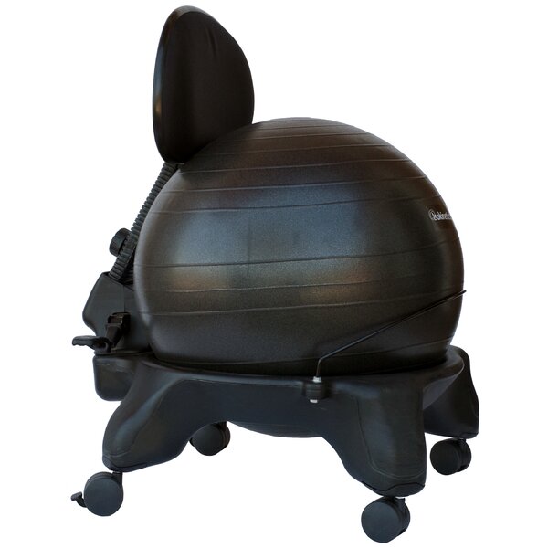 Isokinetics High-Back Exercise Ball Chair & Reviews ...