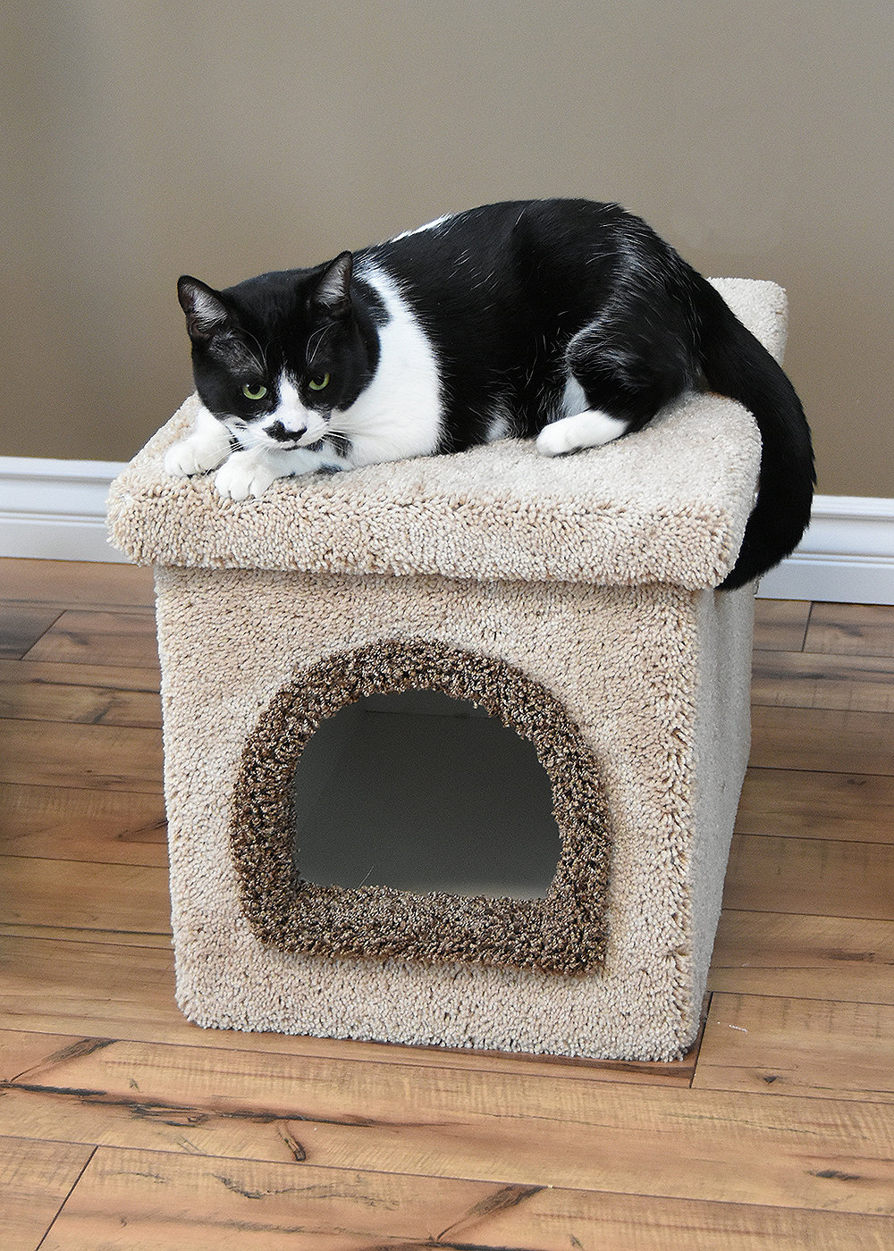 New Cat Condos Premier Litter Box Enclosure & Reviews Wayfair