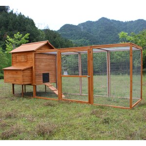 Hen Chicken Coop with Chicken Run