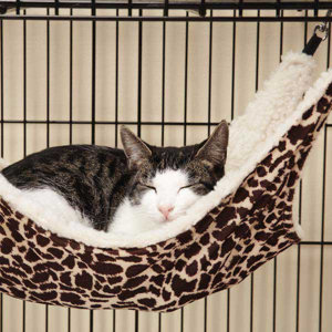 Wild Time Small Pet Cage Hammock