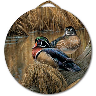 Wooden Duck Decor Wayfair Back Waters Wood Duck Painting Print On