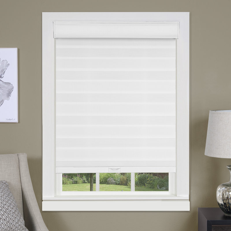 Symple Stuff Cordless Double Layered Window Pleated Shade & Reviews