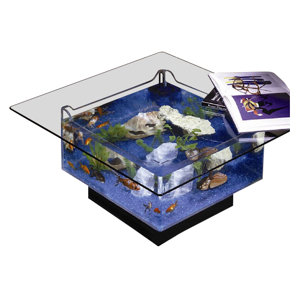 25 Gallon Aqua Coffee Table Aquarium T..