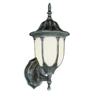 Outdoor 1-Light Outdoor Sconce