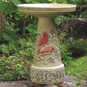 Burley Clay Summer Cardinal Birdbath