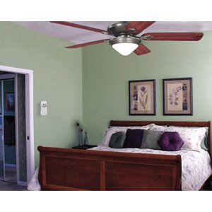 Dabney Ceiling Fan and Light Remote Control