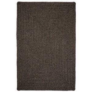 Burnished Braided Indoor/Outdoor Area Rug