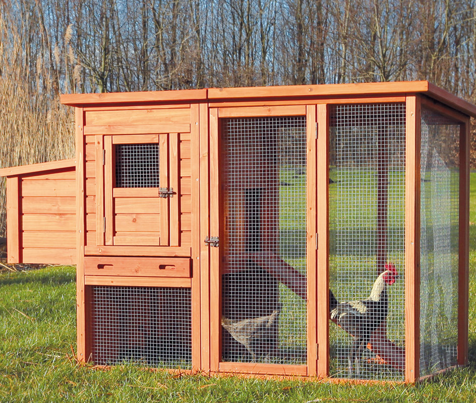 Trixie Trixie Chicken Coop with Outdoor Run & Reviews Wayfair