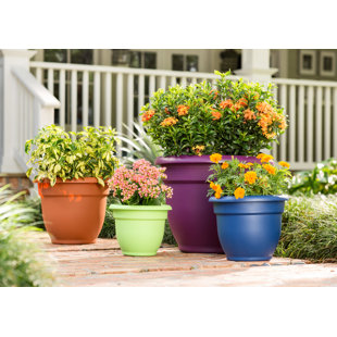 Planters You Ll Love Wayfair Quickview