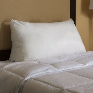 Fill Reading Wedge Feathers King Pillow by Alwyn Home