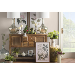 Mixed Fern Floor Ivy Plant in Basket