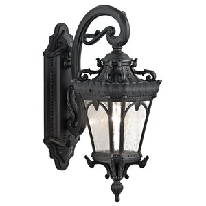 Tournai 1-Light Outdoor Wall Lantern