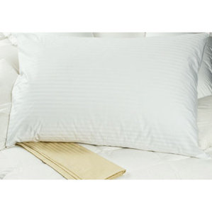 Zippered 340 Thread Count Oversize Pillow Protector (Set of 2) by DownTown Company