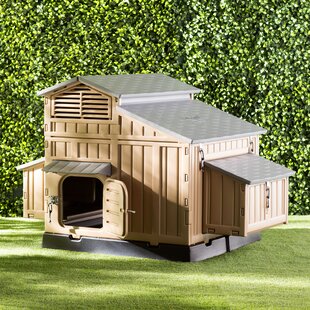 Walk In Chicken Coop Wayfair