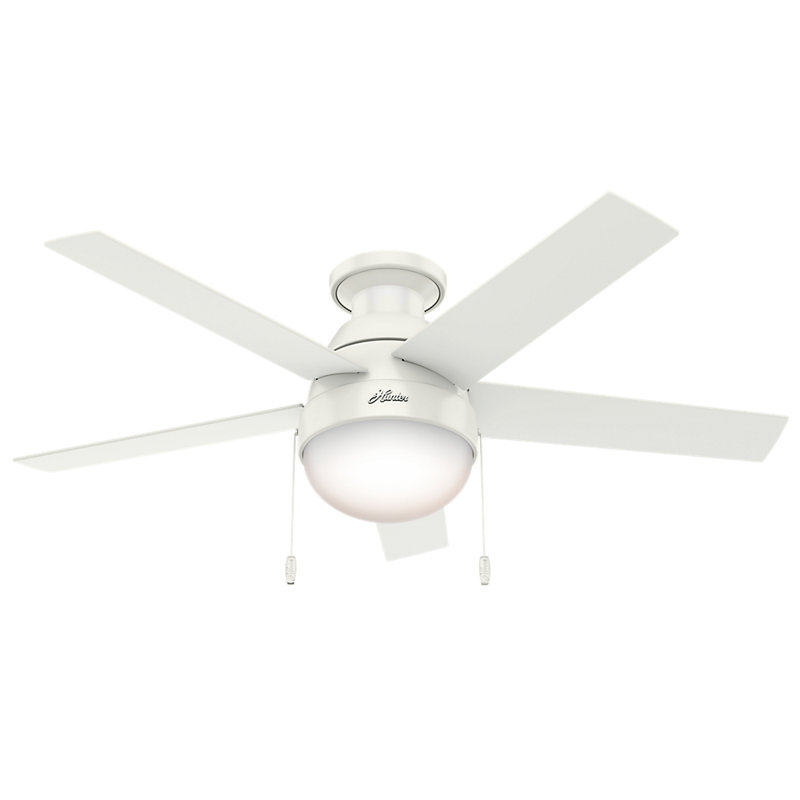 Hunter Fan 46 Anslee 5 Blade Ceiling Reviews Wayfair 46 Anslee 5 Blade Ceiling Fan