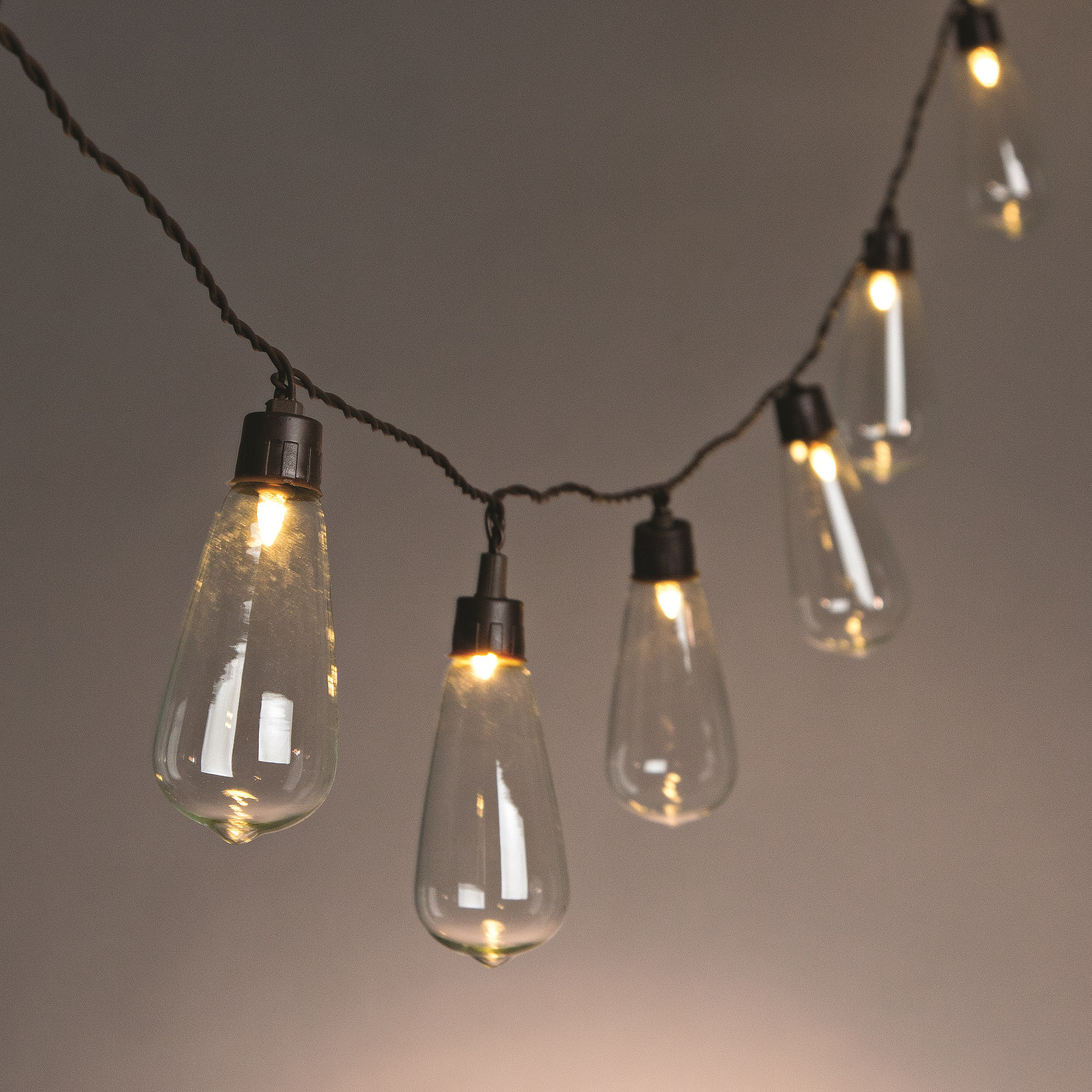 The Gerson Companies 10 Light Globe String Lights Reviews Wayfair