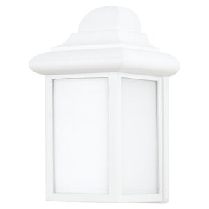 Burleson 1-Light Outdoor Wall Lantern