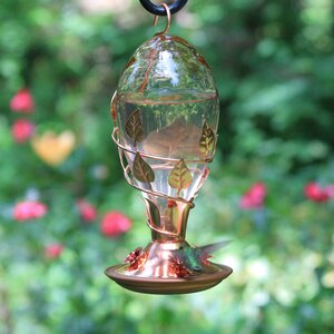 Birdscapes Looking Glass Hummingbird Feeder