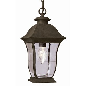 Outdoor 1-Light Hanging Lantern