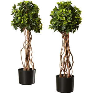 Artificial English Ivy Topiary Tree in Pot (Set of 2)