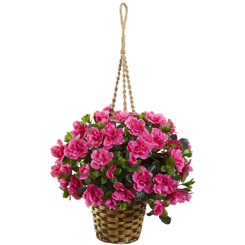 August Grove Silk Azalea Flowering Fl Arrangement In Hanging August Grove Silk Azalea Flowering Fl Arrangement In Hanging Basket Wayfair