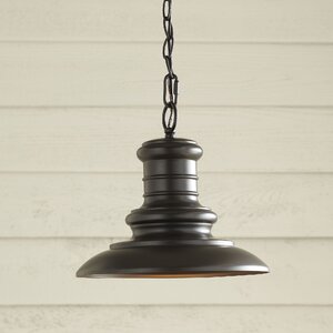 Colunga 1-Light Outdoor Pendant