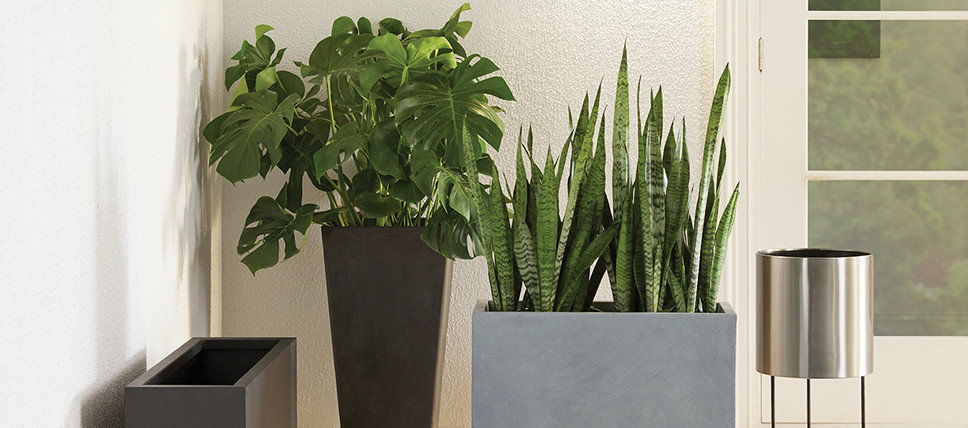 Modern Home Décor | AllModern Modern Home Décor | AllModern