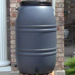 55 Gallon Rain Barrel