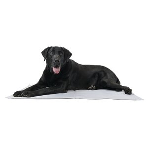Pupicicle Dog Cooling Mat