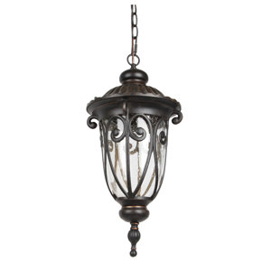 1-Light LED Outdoor Hanging Lantern