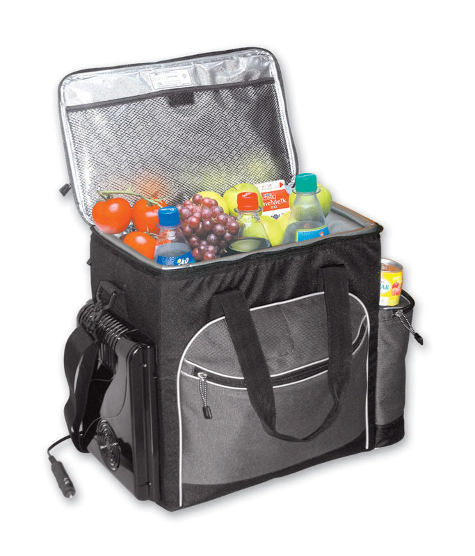 Koolatron 6 Can Koolatron Soft Bag Picnic Cooler & Reviews Wayfair