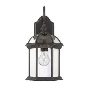 Bransford 1-Light Outdoor Wall lantern