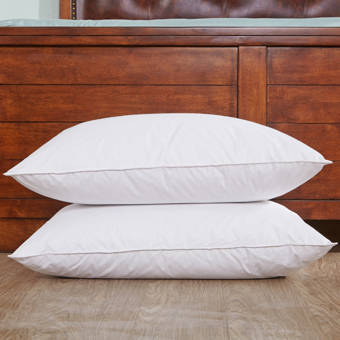 Pacific Coast Feather Double Around Down And Feathers Pillow Down And Feathers Bed Pillow Set Of 2