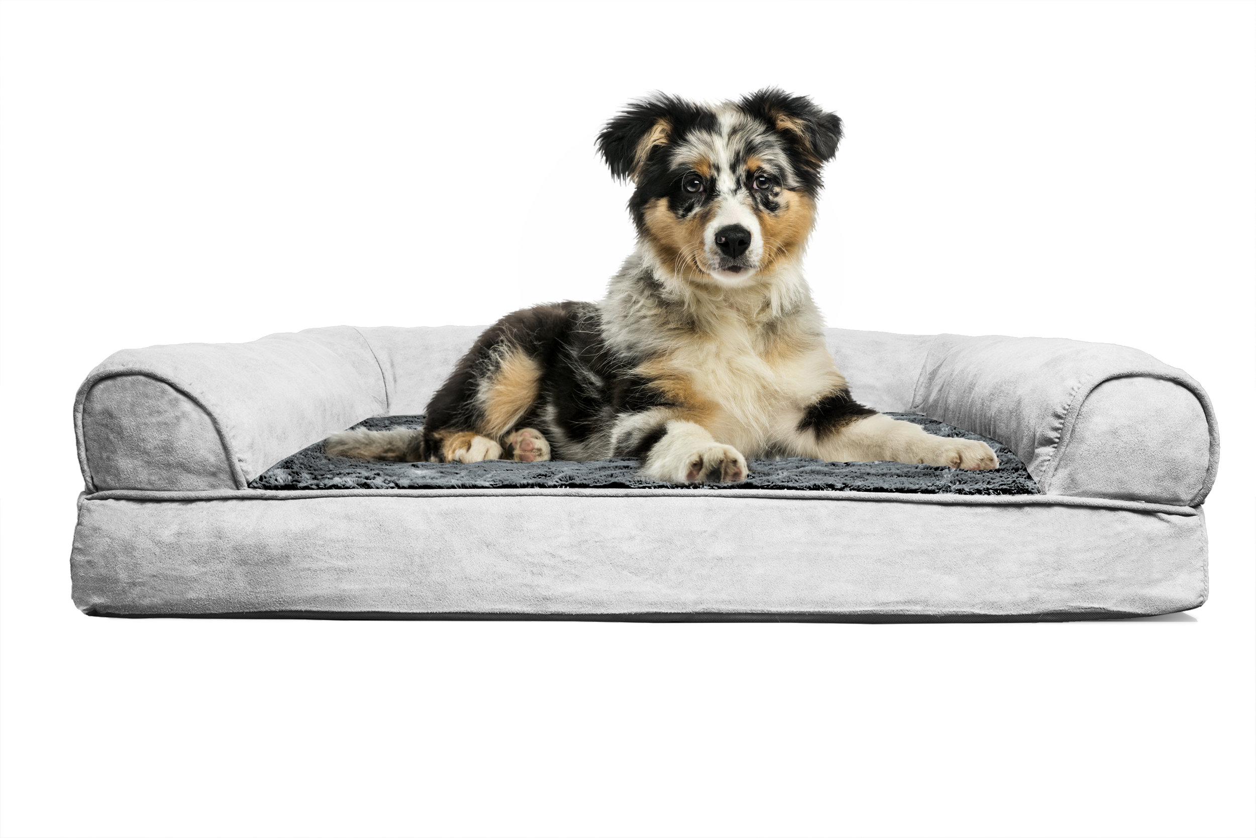 Tucker Murphy Pet Wayfair