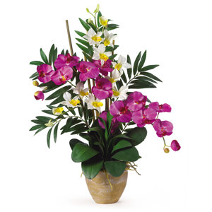 Double Phalaenopsis and Dendrobium Silk Orchid Arrangement in Orchid and Cream
