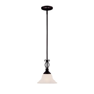 Oxford 1-Light Mini Pendant