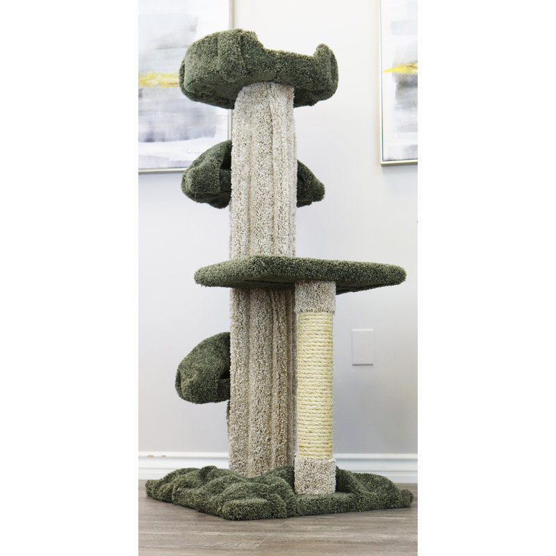 Prestige Cat Trees 51" Prestige Unique Play Cat Tree & Reviews Wayfair