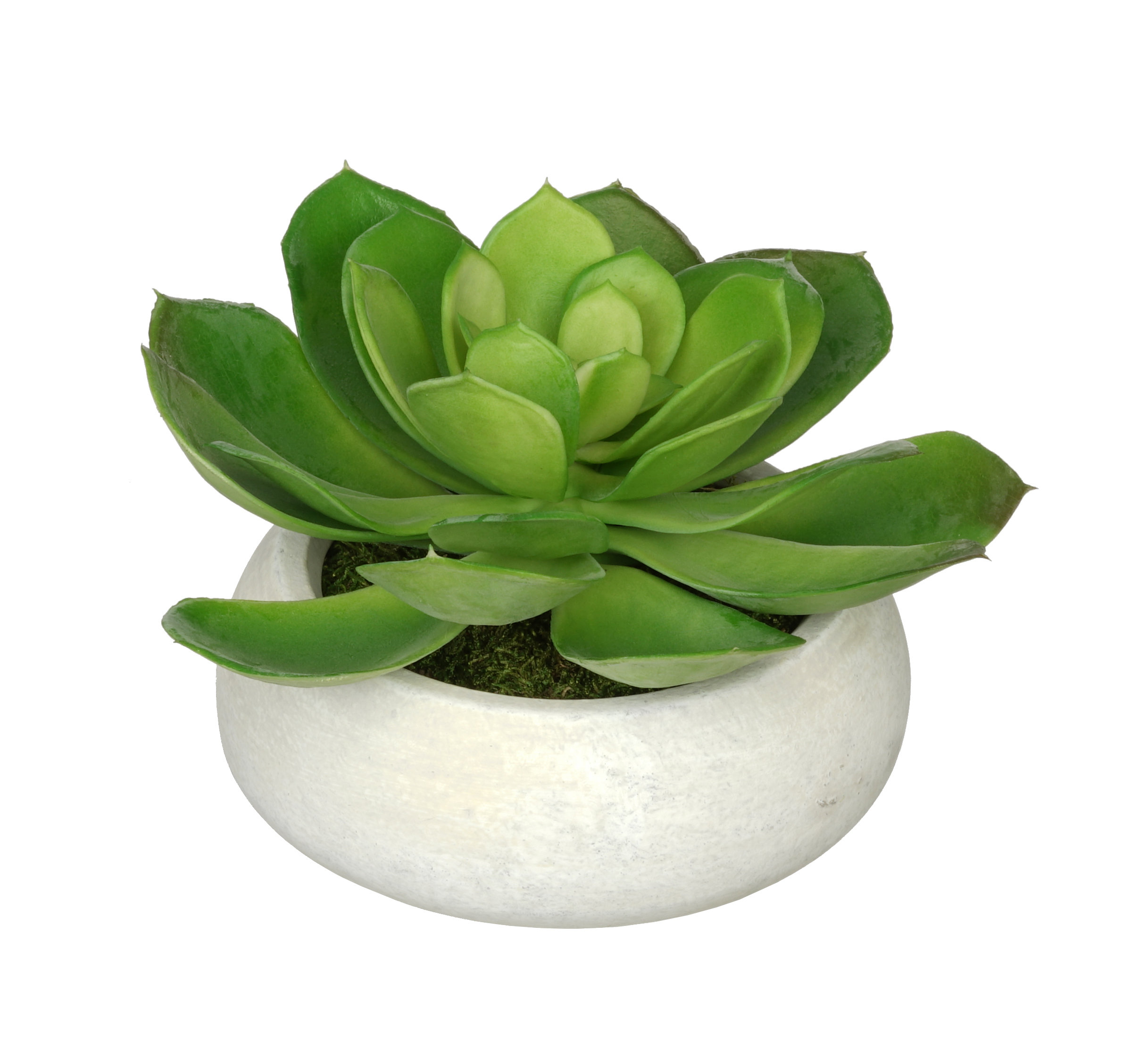 House of Silk Flowers Artificial Echeveria Plant in Planter & Reviews