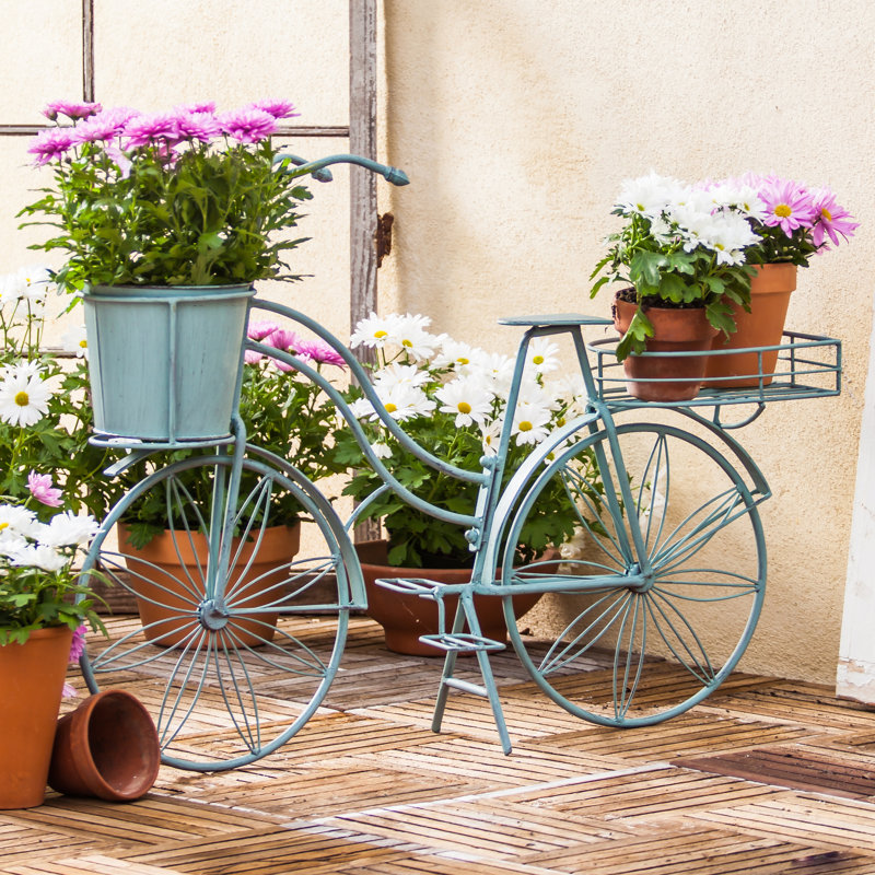 Evergreen Enterprises, Inc Metal Bicycle Planter & Reviews Evergreen Enterprises, Inc Metal Bicycle Planter & Reviews