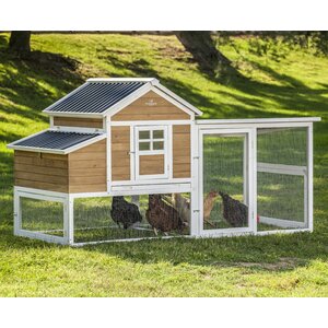 Victorian XL Barn Chicken Coop