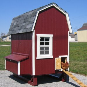 Gambrel Barn Chicken House with Nesting Box and Ramp